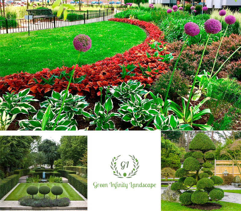 Best Landscape Company In India, Best Plants For Commercial Landscapes